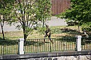 IMG_3998.JPG