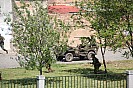 IMG_4000.JPG