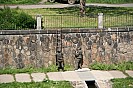 IMG_4006.JPG