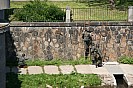 IMG_4007.JPG