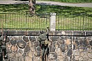 IMG_4009.JPG