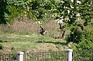 IMG_4013.JPG