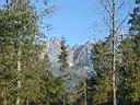 IMG_5978.JPG