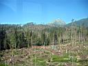 IMG_5979.JPG