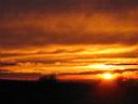 IMG_1901.JPG