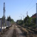 IMG_1003