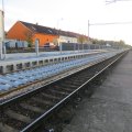 IMG_1896