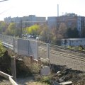 IMG_1939