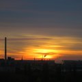 IMG_1978