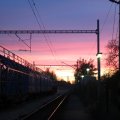 IMG_1980