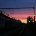 IMG_1981