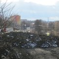 IMG_2011