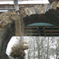 IMG_2336