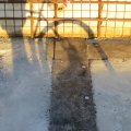 IMG_2647