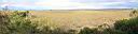 everglades.jpg