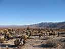 IMG_0338.JPG
