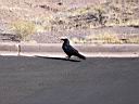 IMG_0380.JPG