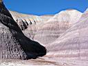 IMG_0388e.JPG