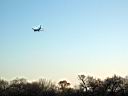 IMG_0433.JPG