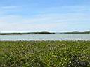 IMG_0525.JPG