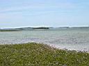 IMG_0526.JPG