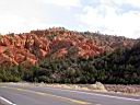 Img_0124b.jpg