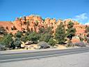Img_0124d.jpg