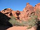 Img_0195c.jpg