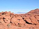 Img_0195e.jpg