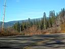 Img_0250.jpg