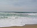 Img_0292b.jpg